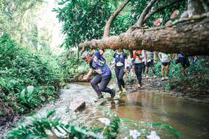 BIB: 
                            <button type="button" onclick="openModal(25515445)" class="btn btn-primary btn-sm float-right btn-popup" data-toggle="modal" data-target=".modal-high-quality">
                        <i class="fas fa-shopping-cart"></i> Add to Cart
                    </button>
                                            <button type="button" onclick="isThisMe(25515445, true)" class="btn btn-success btn-sm float-right btn-popup btn-isme hidden" data-toggle="tooltip" data-placement="bottom" title="นี่คือรูปของคุณใช่ไหม คลิกที่นี่เพื่อเอาเข้าอัลบั้ม">
                        <i class="fas fa-plus"></i> Add to album
                    </button>
                    <button type="button" onclick="isThisMe(25515445, false)" class="btn btn-warning btn-sm float-right btn-popup btn-isnotme hidden">
                        <i class="fas fa-ban"></i> Remove from album
                    </button>